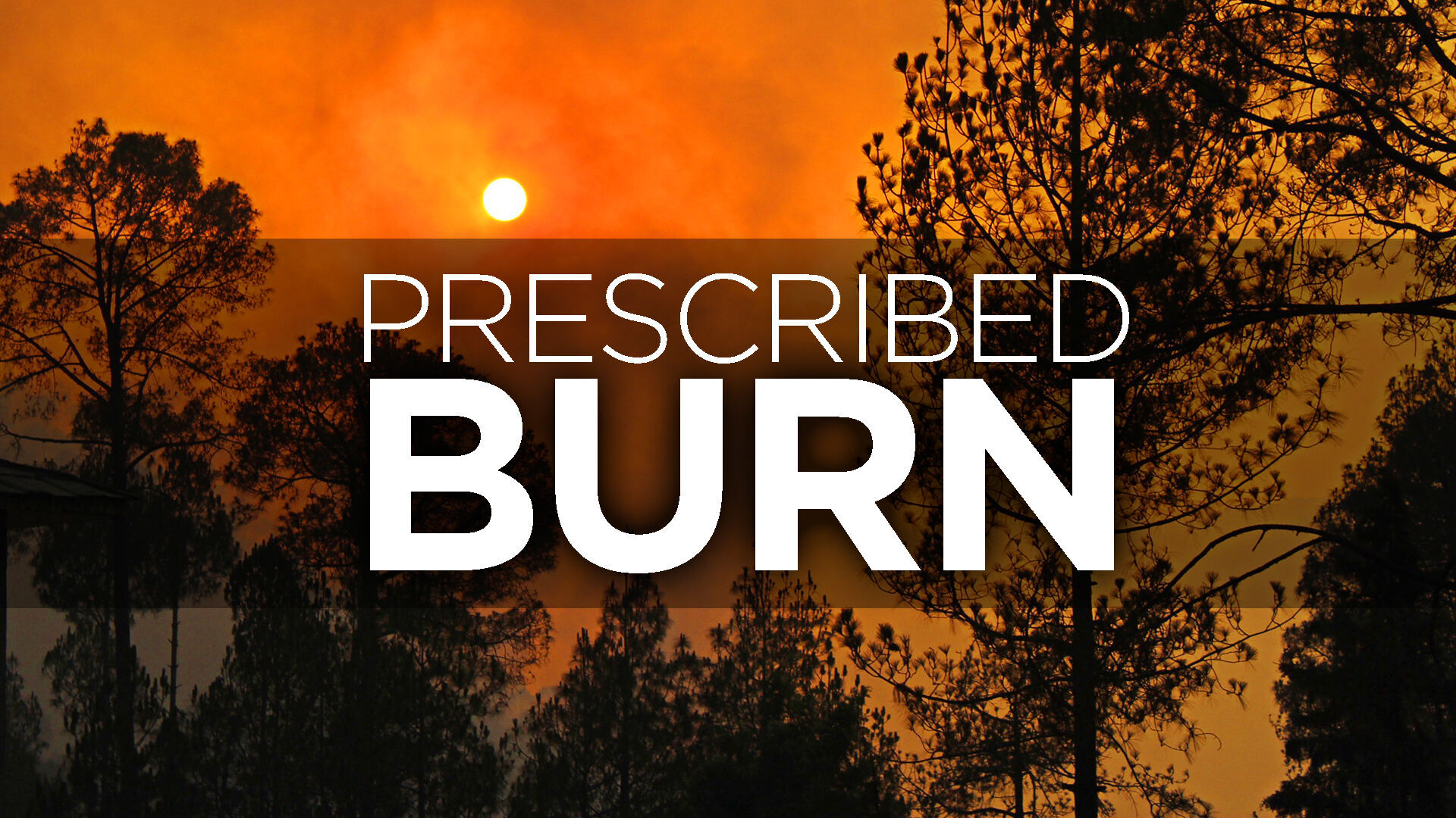 USFS releases spring prescribed fire plan